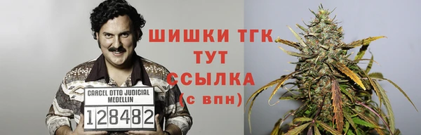 прущие грибы Вяземский