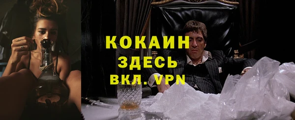 прущие грибы Вяземский