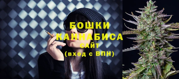 прущие грибы Вяземский